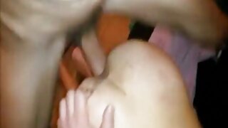 ہارنی ایلویرا تاریخ  ...